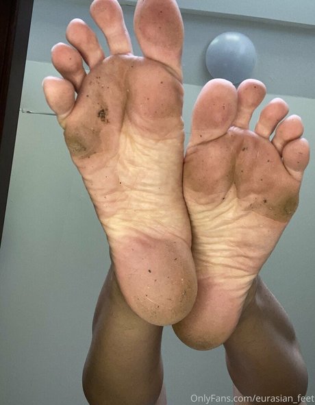 eurasian feet star adult img