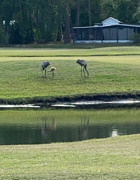 dark nipples onlyfans hd gallery