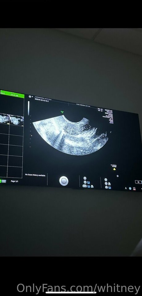 whitney perfect actress galleries