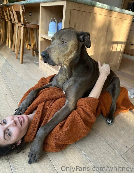 whitney star art photos