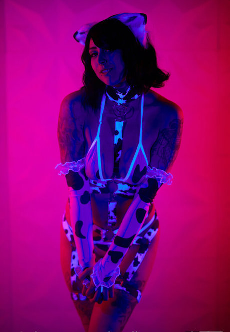 jessilyncupcakefree star free archive