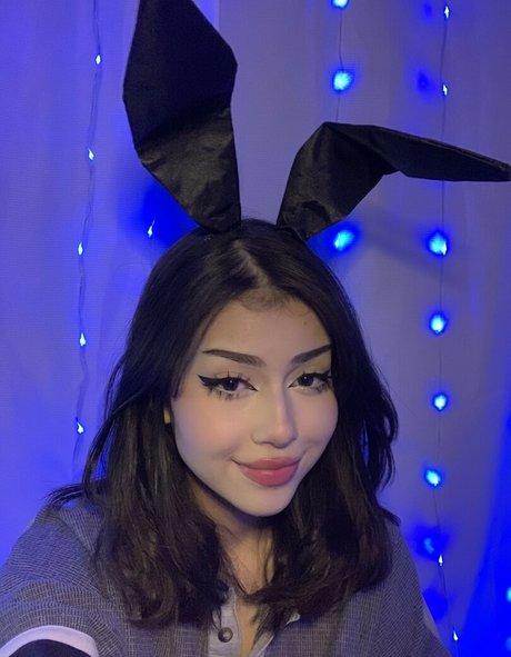 Daisyrot nice model archive