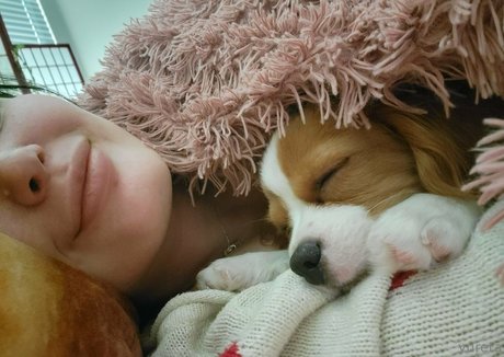 yureta2 free actress pic