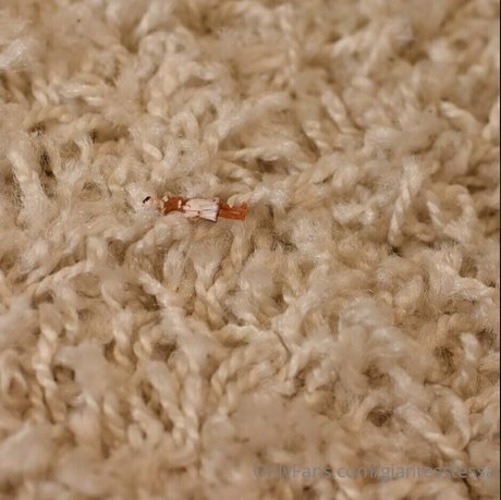 giantesstessa exclusive pornstar images