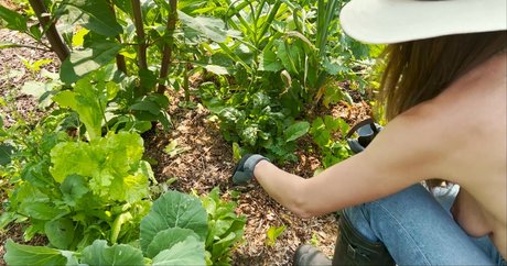 The Naked Gardener exclusive pornstar photos