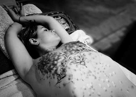 sorine rose star art galleries