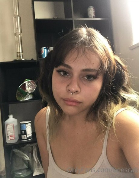 scabbee pornstar images