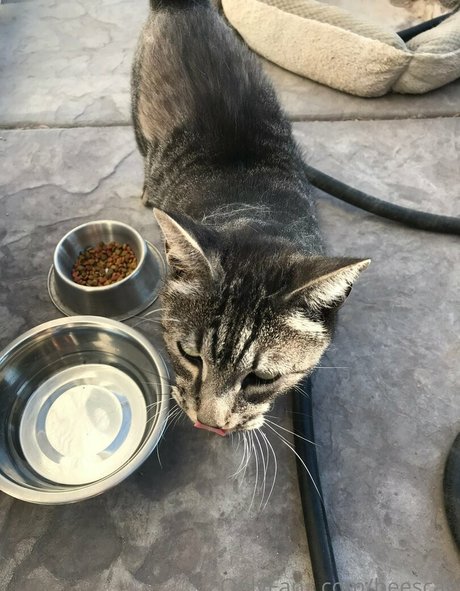 scabbee best star photos