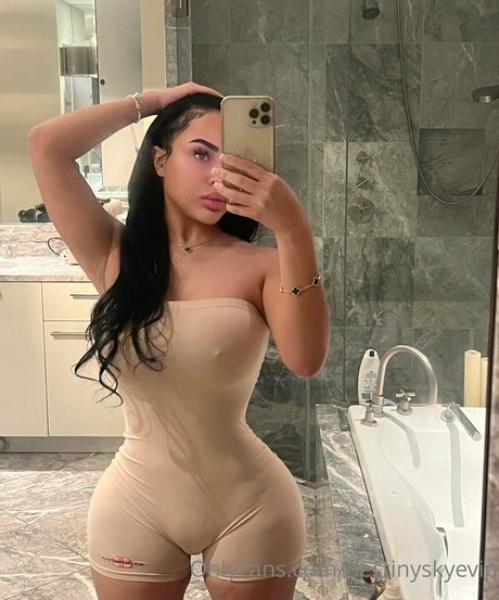 Destinyskyevip pornstar top img