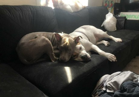 red hair onlyfans hd pic