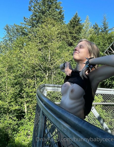 Bunnybabycece pornstar nude img