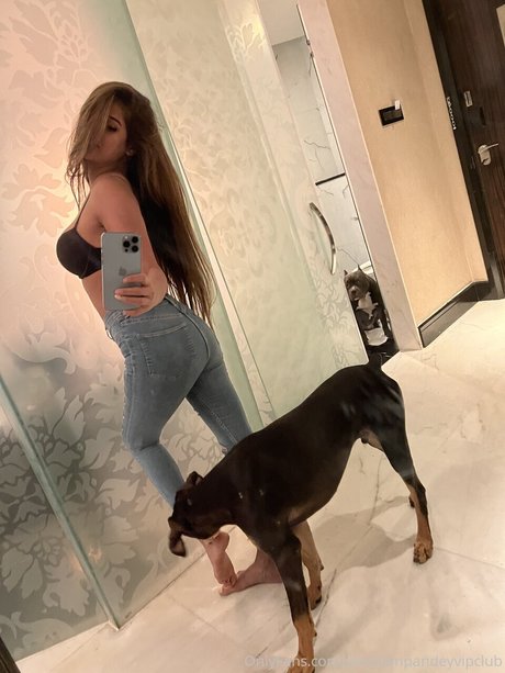 dp onlyfans best images