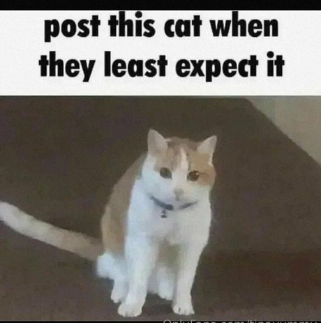 sucking tits onlyfans beautiful xxx pics