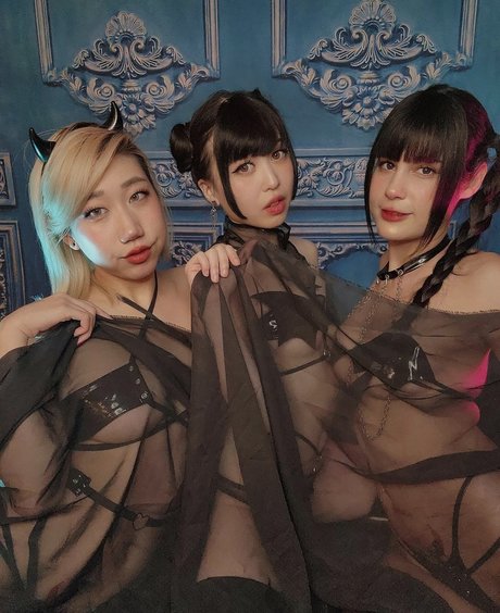 Danisaurz model beautiful image