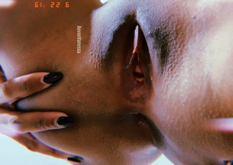 AevonVan model hd archive