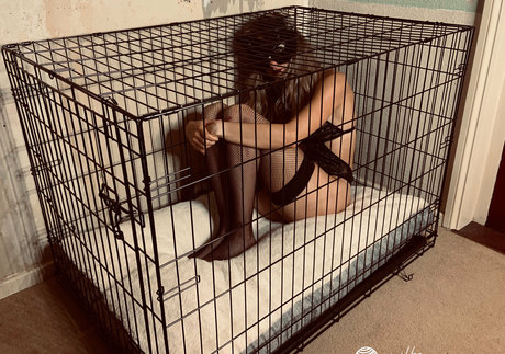 nude strip onlyfans porno images