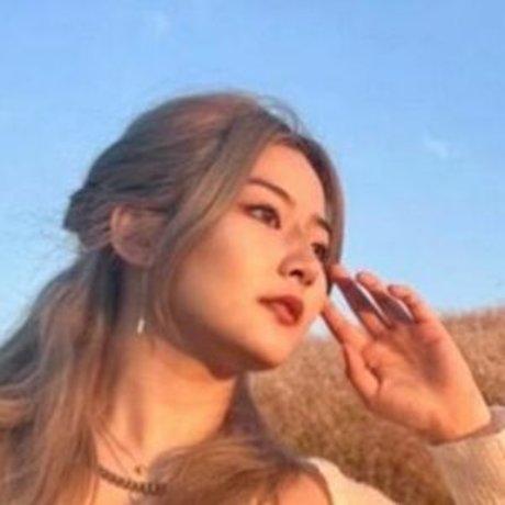 Arine Kim model free archive