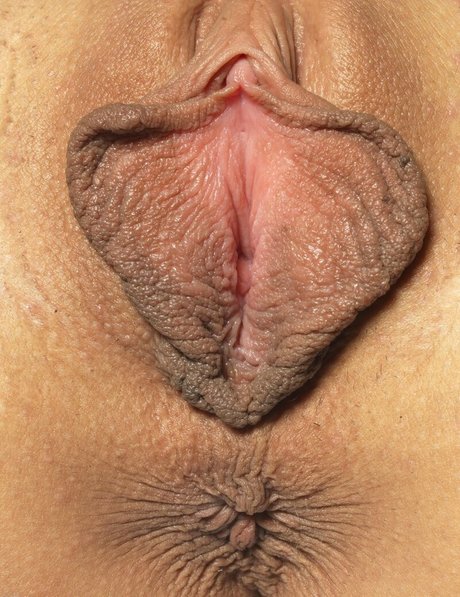 pawg girls onlyfans nudes pics