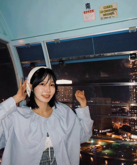 sooflower high quality star photo