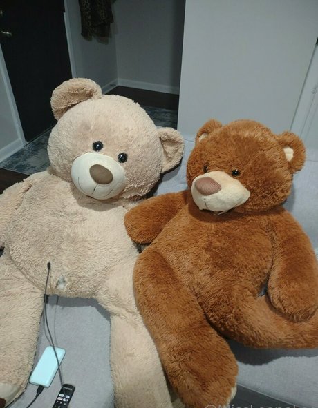 anal dildo onlyfans pornos picture