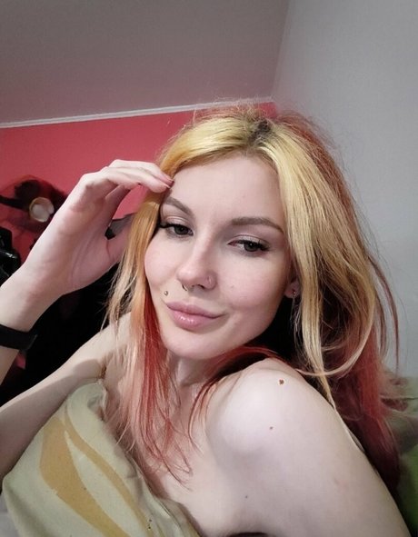 lida bond star top photo