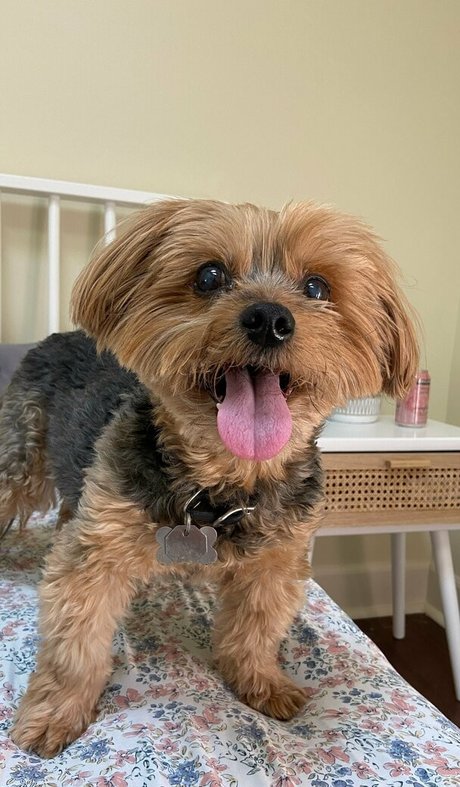 NakedBakers beautiful pornstar image