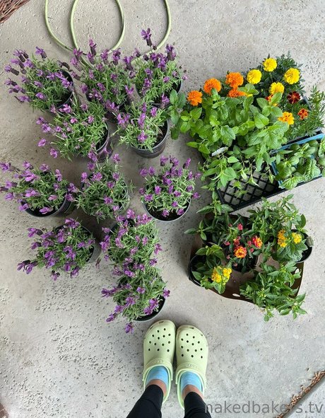 petite slut onlyfans hot sex galleries