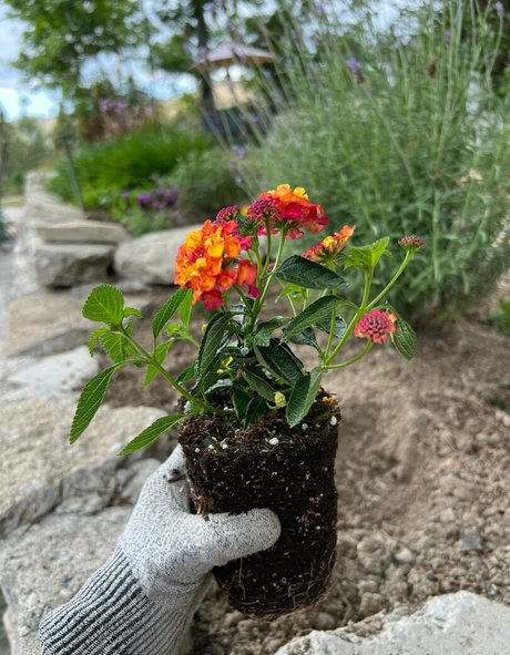 NakedBakers model naked photo