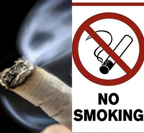 freeswissladyschweiz pretty pornstar pic