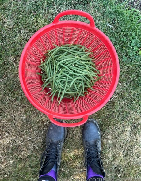 babyjas666 star porn img