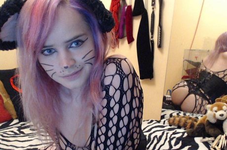 allythecat art star photos