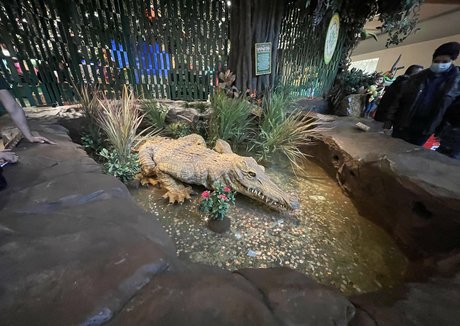 mistylovelace erotic actress pic