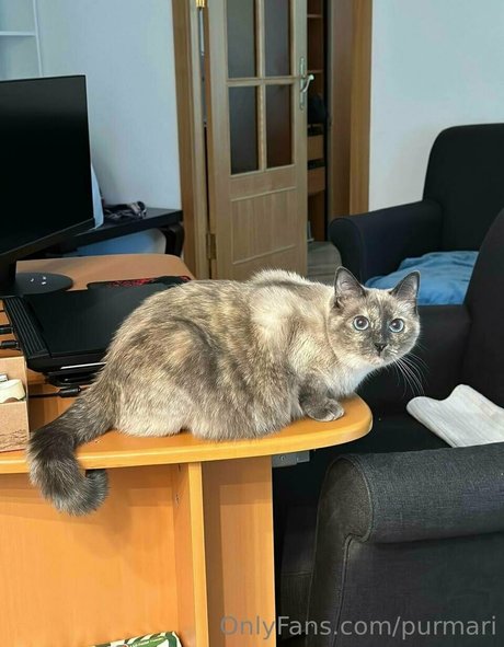 dirty talk joi onlyfans hot porn pictures