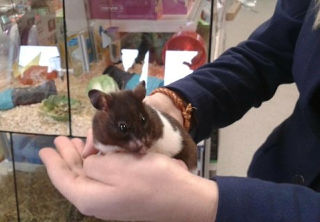 dirty talk joi onlyfans porn photo