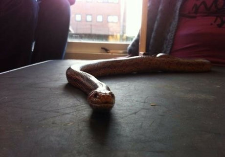 slut milf onlyfans hot xxx galleries