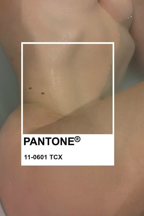 YuStef pornstar free pictures