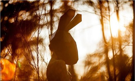 Oheekolts nude pornstar images