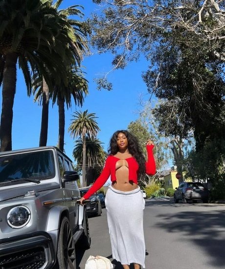 bbc blowjob onlyfans nice photo