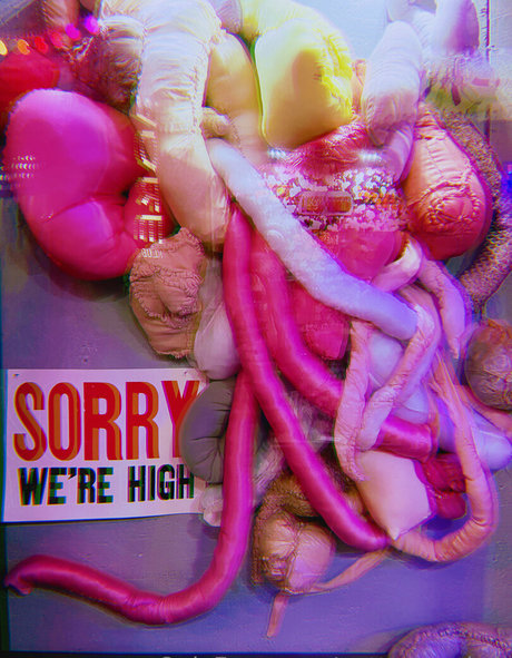 pottymouth h model high quality picture