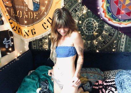 sandtripper star beautiful img