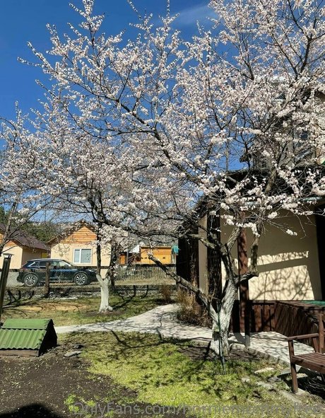 hairy bbw onlyfans nice pictures