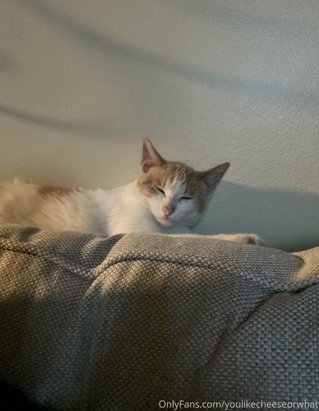 bbc ebony onlyfans top img