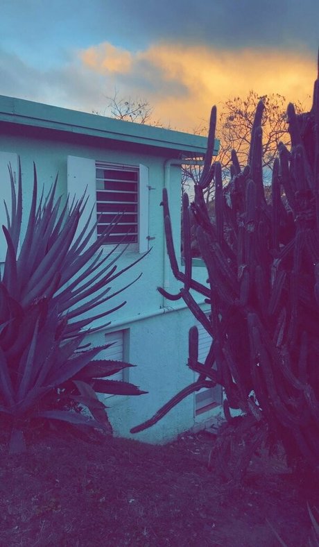 asian twink onlyfans hot xxx image