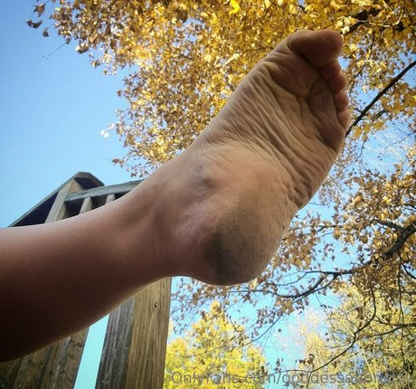 goddessaubrislav pornstar top img