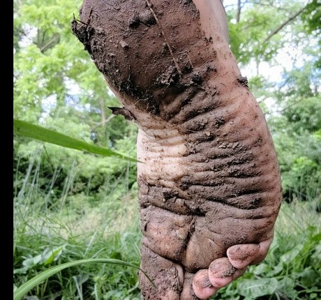 goddessaubrislav sex pornstar images