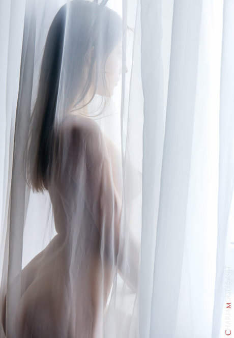 CharmModels model high quality image