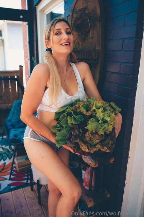 wolfofthewild high quality star pictures