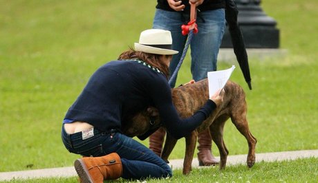 anal trans onlyfans naked archive