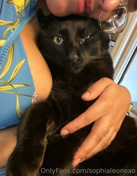 Sophialeonexo top pornstar picture