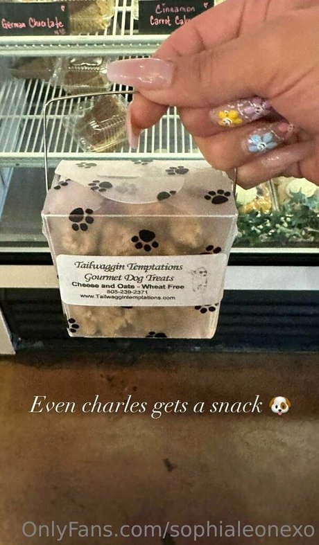 Sophialeonexo perfect star pics